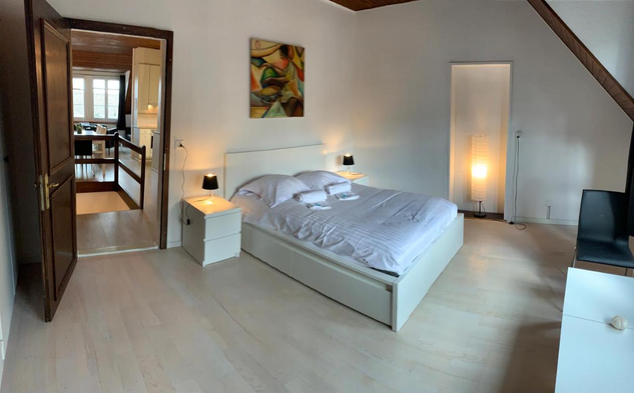 Luxury Duplex Vue Chateau Neuchâtel Buitenkant foto