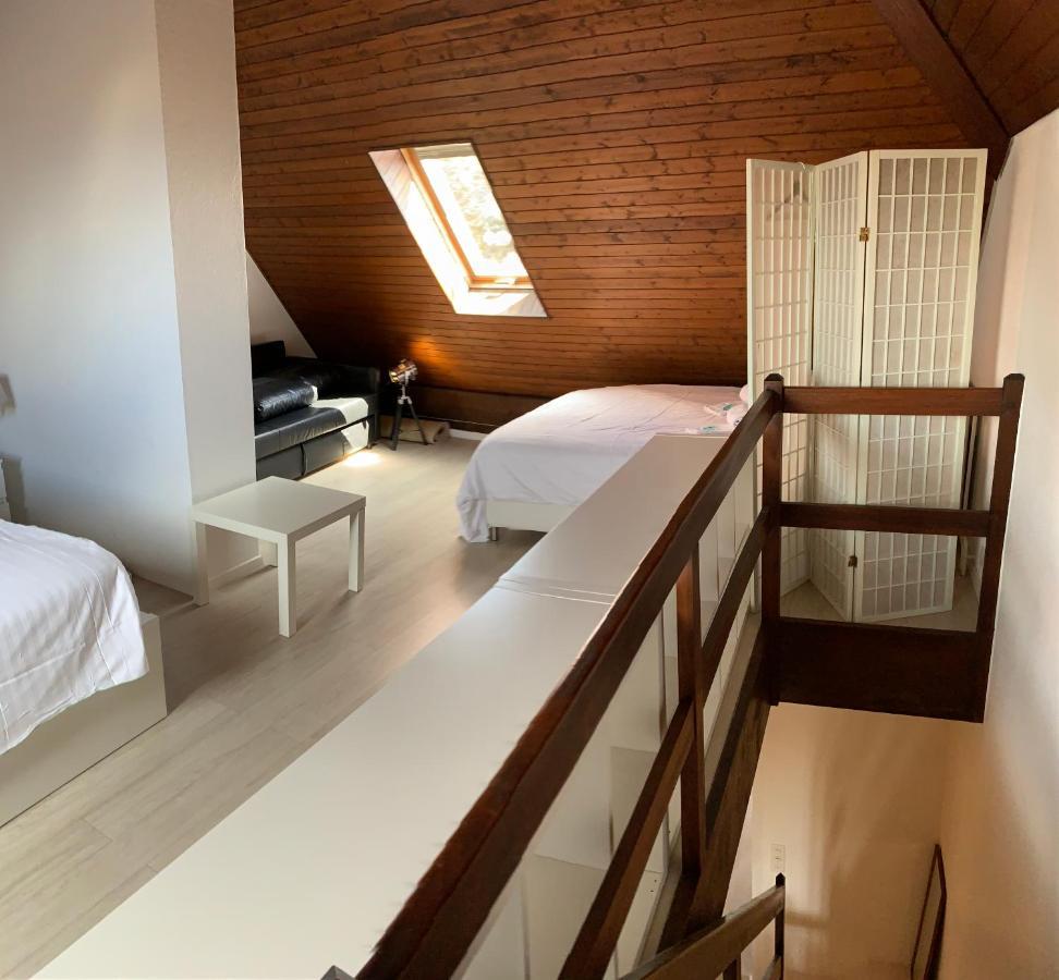 Luxury Duplex Vue Chateau Neuchâtel Buitenkant foto