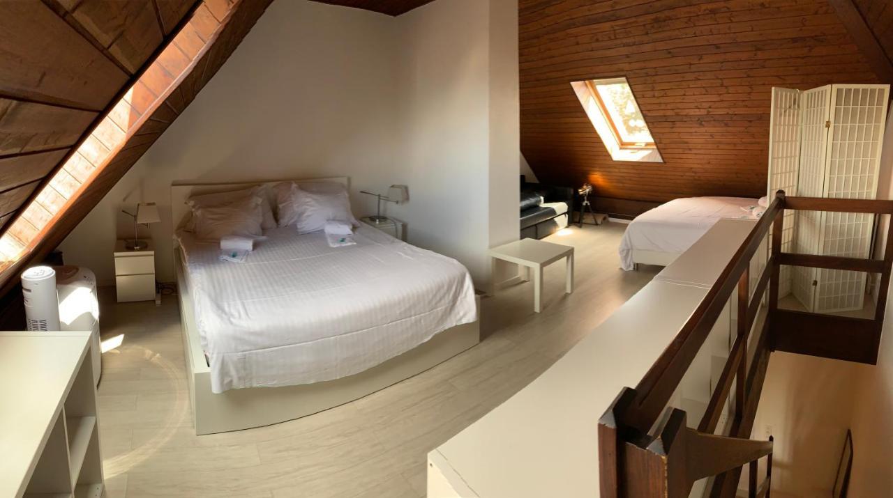 Luxury Duplex Vue Chateau Neuchâtel Buitenkant foto