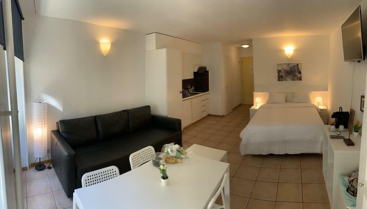 Luxury Duplex Vue Chateau Neuchâtel Buitenkant foto